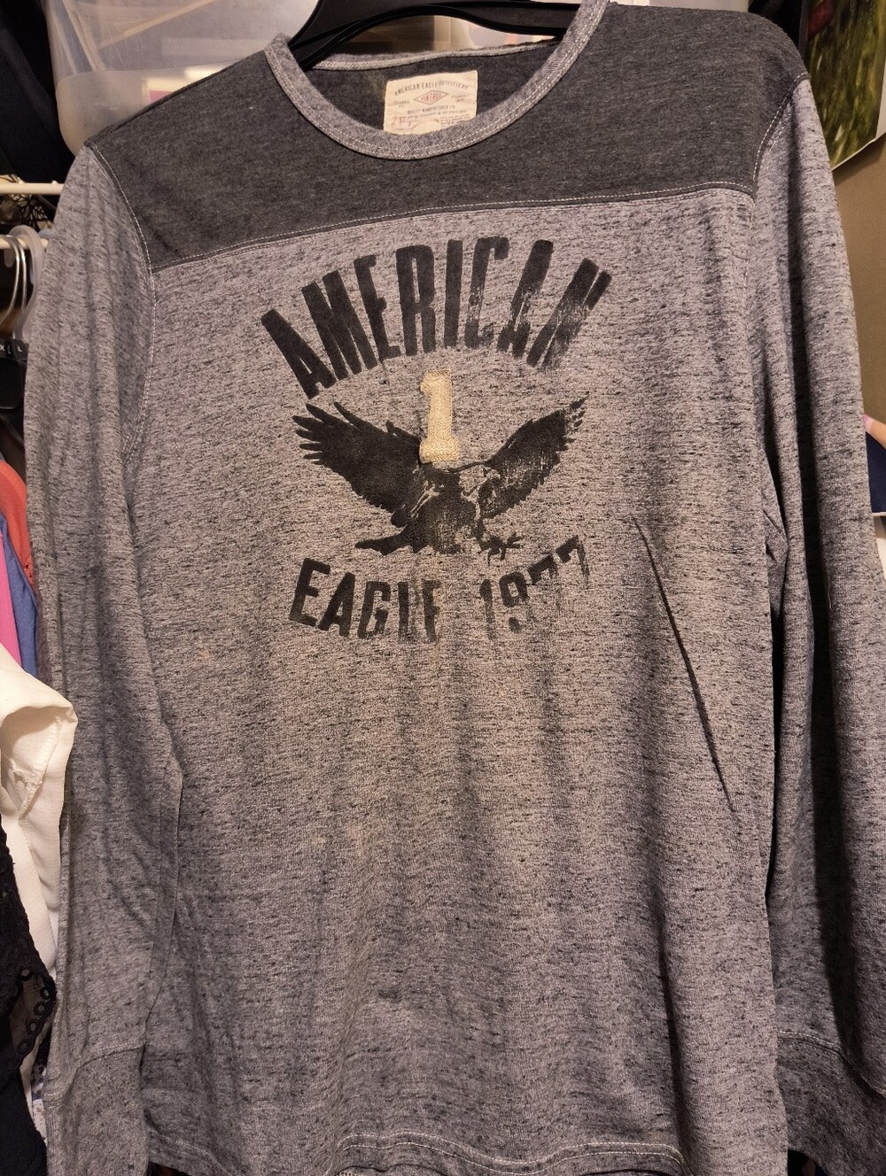 American Eagle Outfitters Men's Heather Gray Long-Sleeve Graphic Tee